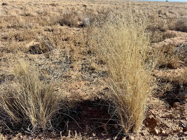 lot 16 Fort Morgan Road, Blanca, CO 81123