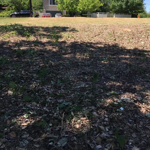 11506 June DR, Austin, TX 78753