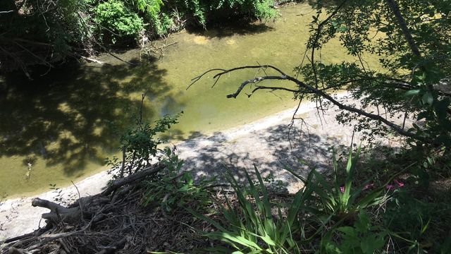 11506 June DR, Austin, TX 78753