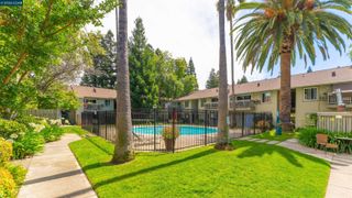 1241 Homestead 211, Walnut Creek, CA 94598
