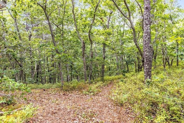 35A Higgins Hollow Rd, Truro, MA 02655