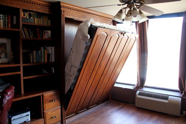 505 N Lake Shore Drive 1605, Chicago, IL 60611