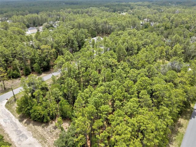 7732 N UDAL DRIVE, Citrus Springs, FL 34434