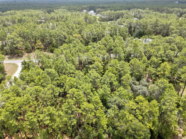 7732 N UDAL DRIVE, Citrus Springs, FL 34434