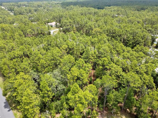 7732 N UDAL DRIVE, Citrus Springs, FL 34434