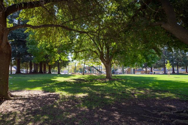 146 Mint Leaf Way, Sacramento, CA 95838