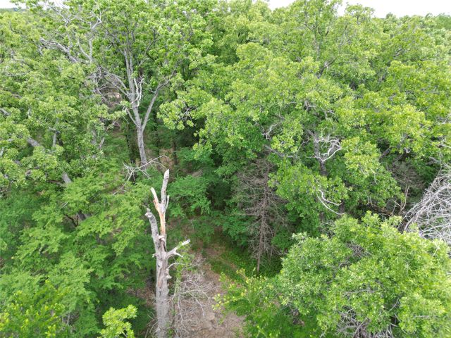 .26Ac Rascoe Road, Quinlan, TX 75474