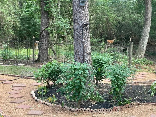 93 N Acacia Park Circle, The Woodlands, TX 77382