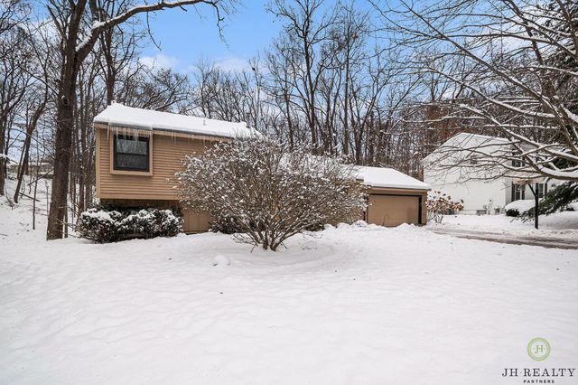 446 Adaway Avenue Se, Ada Twp, MI 49301