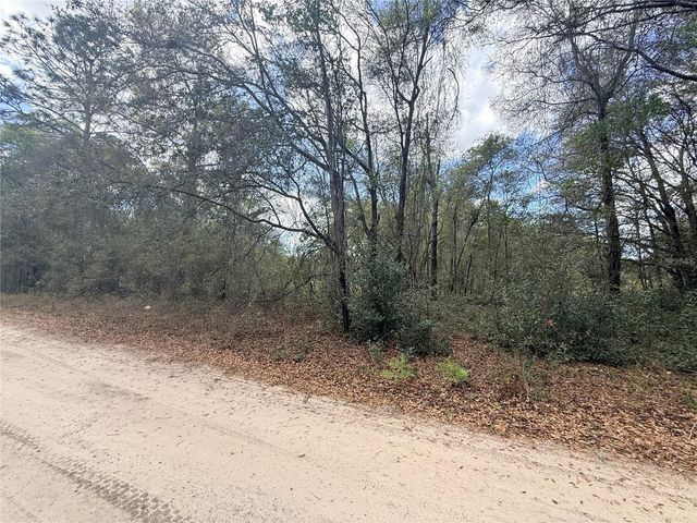 Lots 31-33 NW 52ND AVENUE, Ocala, FL 34482
