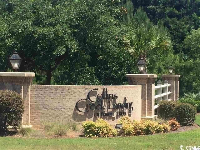 TBD Woody Point Dr., Murrells Inlet, SC 29576