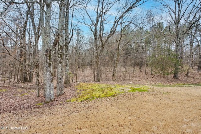 14185 Chapel Ridge Trail, Olive Branch, MS 38654