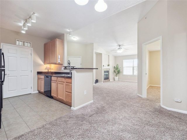 9142 Lodestar Ln 305, Parker, CO 80134