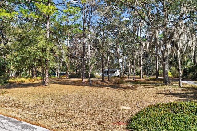 1741 N CROOKED BRANCH DRIVE, Lecanto, FL 34461