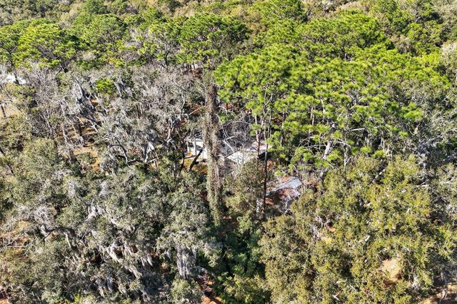 1741 N CROOKED BRANCH DRIVE, Lecanto, FL 34461