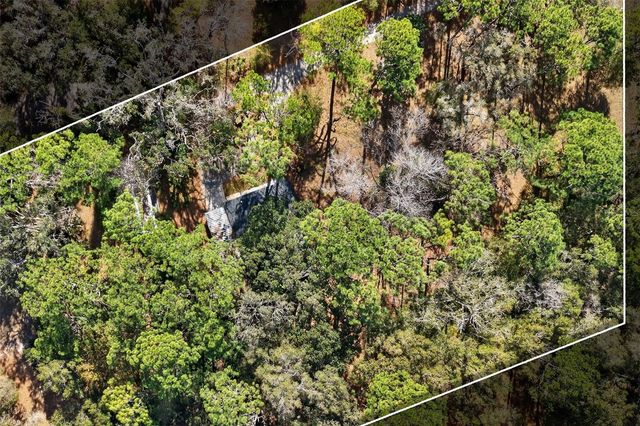 1741 N CROOKED BRANCH DRIVE, Lecanto, FL 34461