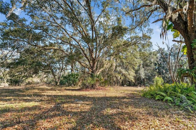 1741 N CROOKED BRANCH DRIVE, Lecanto, FL 34461