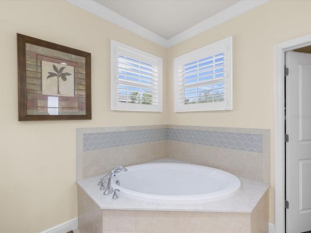 7117 PARK TREE DRIVE, Tampa, FL 33625