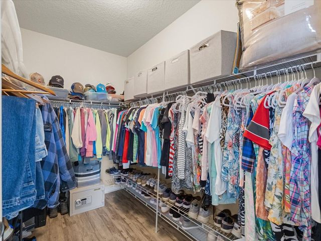 7117 PARK TREE DRIVE, Tampa, FL 33625