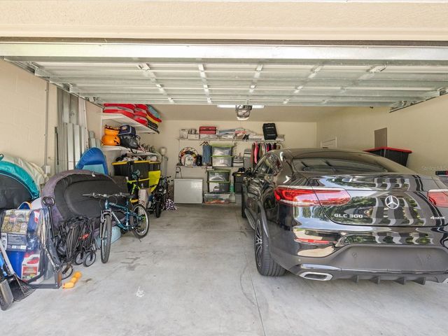 7117 PARK TREE DRIVE, Tampa, FL 33625
