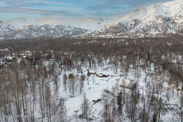 9911 N Runyon Circle, Palmer, AK 99645