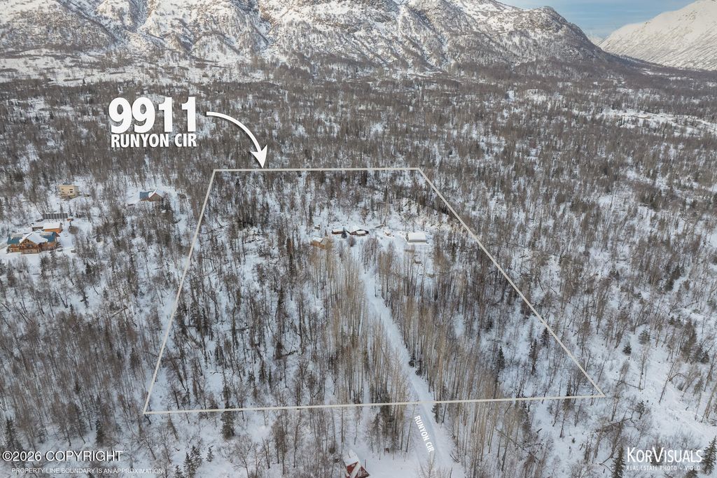 9911 N Runyon Circle, Palmer, AK 99645
