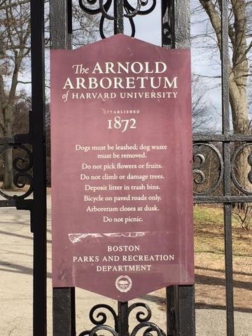 55 South Fairview 55, Boston, MA 02131