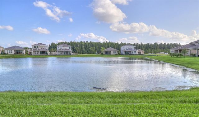 31045 LINDENTREE DRIVE, Wesley Chapel, FL 33543