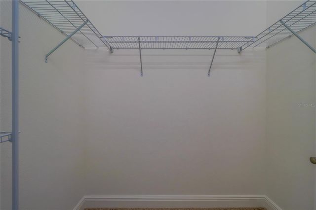 31045 LINDENTREE DRIVE, Wesley Chapel, FL 33543