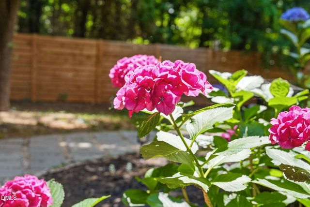 1605 Harmont Drive, Raleigh, NC 27603