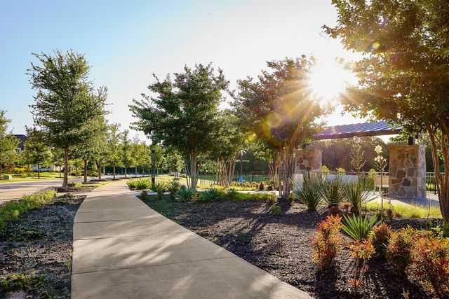 15154 Boxthorn Drive, Frisco, TX 75035