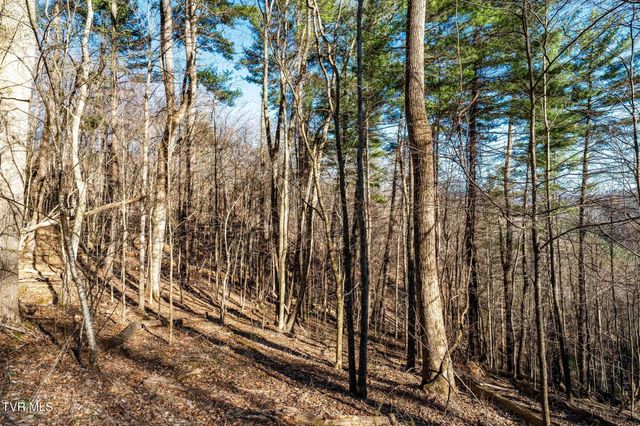 Tbd Lonesome Pine Trail, Butler, TN 37640