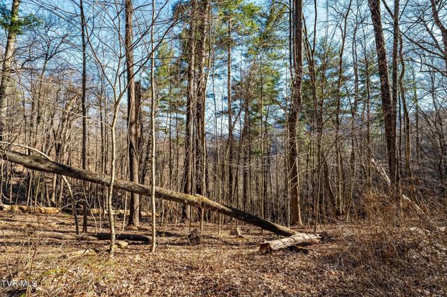 Tbd Lonesome Pine Trail, Butler, TN 37640