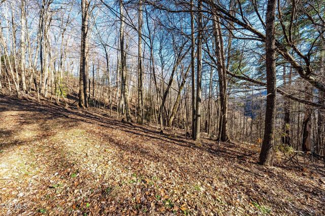 Tbd Lonesome Pine Trail, Butler, TN 37640