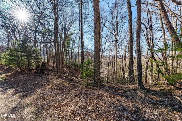Tbd Lonesome Pine Trail, Butler, TN 37640
