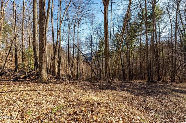 Tbd Lonesome Pine Trail, Butler, TN 37640