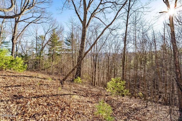 Tbd Lonesome Pine Trail, Butler, TN 37640