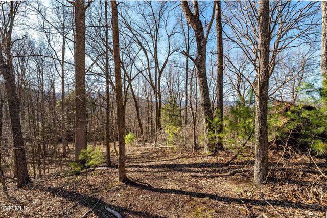 Tbd Lonesome Pine Trail, Butler, TN 37640
