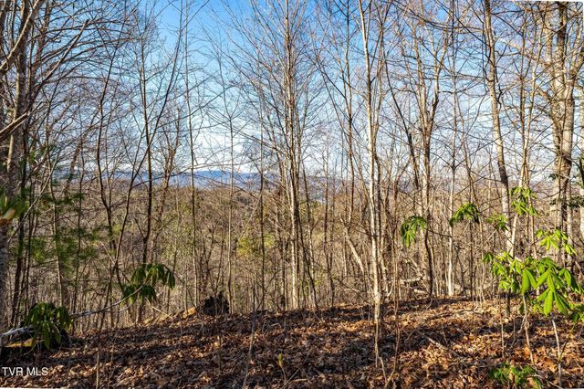 Tbd Lonesome Pine Trail, Butler, TN 37640