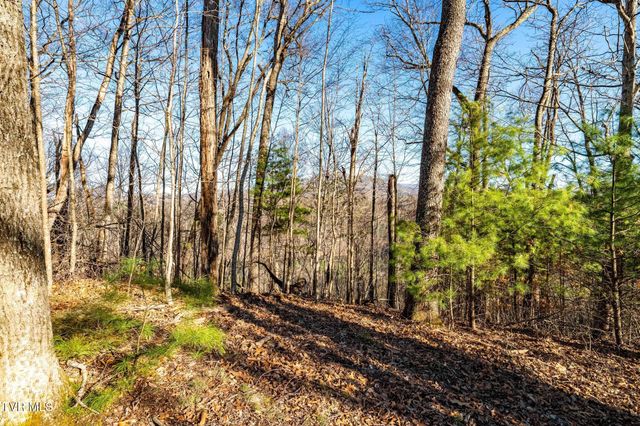 Tbd Lonesome Pine Trail, Butler, TN 37640