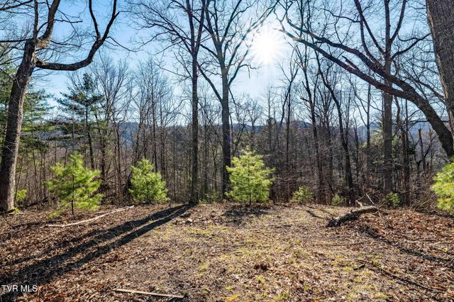 Tbd Lonesome Pine Trail, Butler, TN 37640