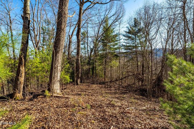 Tbd Lonesome Pine Trail, Butler, TN 37640