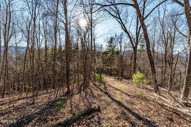 Tbd Lonesome Pine Trail, Butler, TN 37640