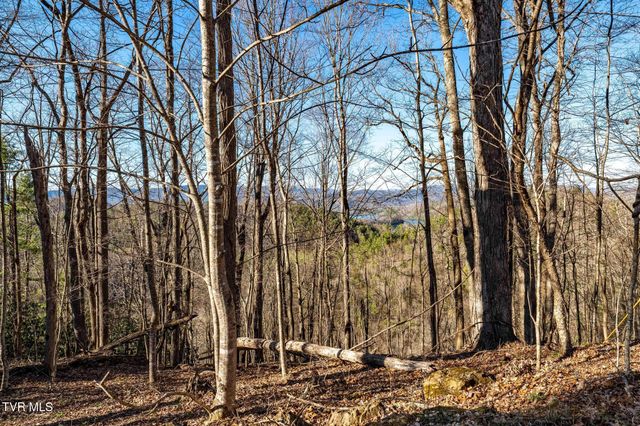 Tbd Lonesome Pine Trail, Butler, TN 37640