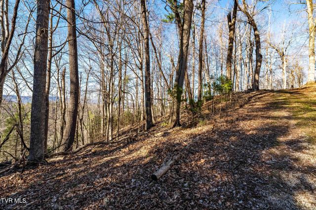 Tbd Lonesome Pine Trail, Butler, TN 37640