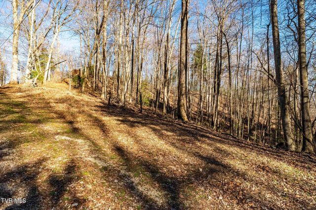 Tbd Lonesome Pine Trail, Butler, TN 37640