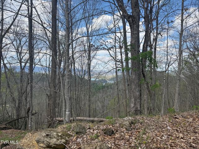 Tbd Lonesome Pine Trail, Butler, TN 37640