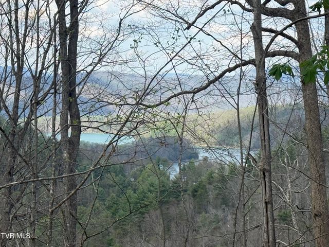 Tbd Lonesome Pine Trail, Butler, TN 37640