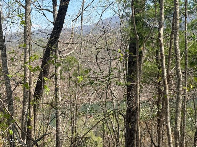 Tbd Lonesome Pine Trail, Butler, TN 37640