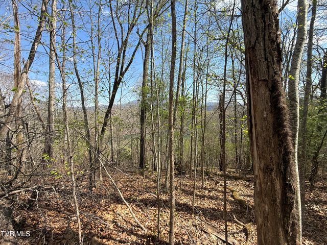 Tbd Lonesome Pine Trail, Butler, TN 37640